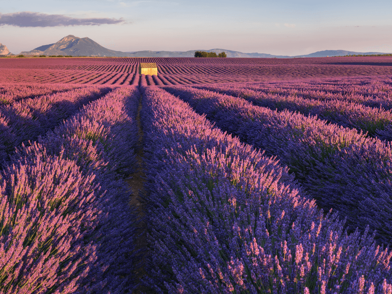 provence wedding venues