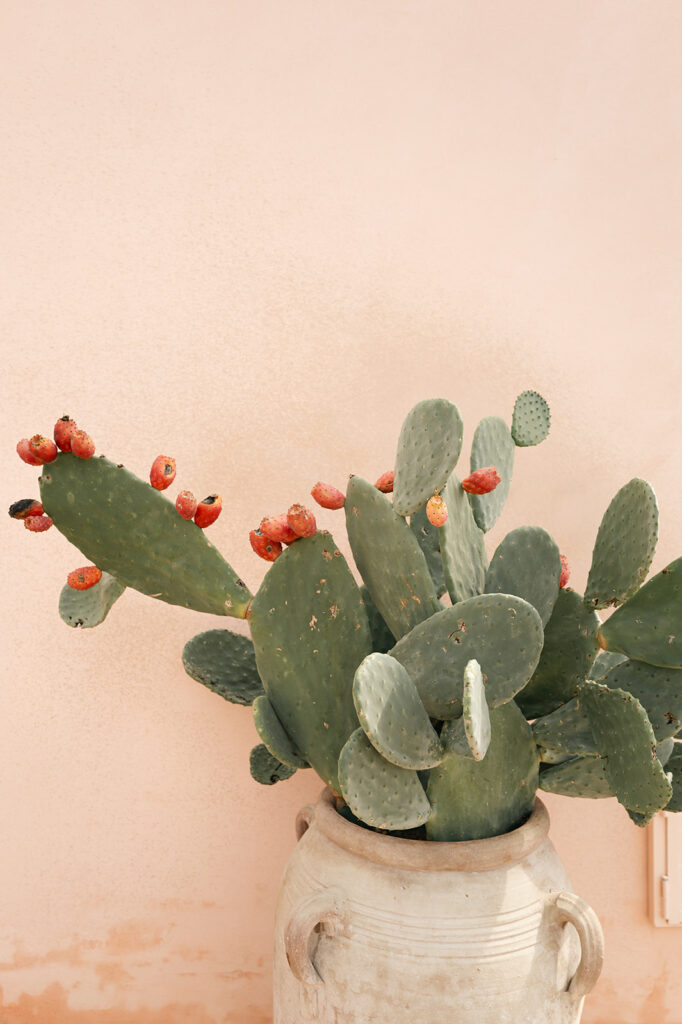 destination wedding sicily noto Braccialieri