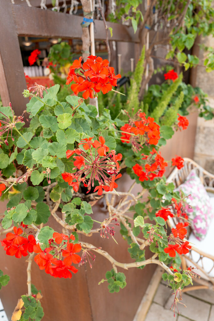 destination wedding sicily noto Braccialieri