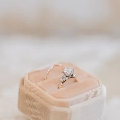 intimate destination wedding hotel de crillon paris